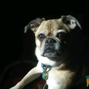 Meet your Posher, Denise